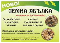 Brochure for the product (Jerusalem artichokes)